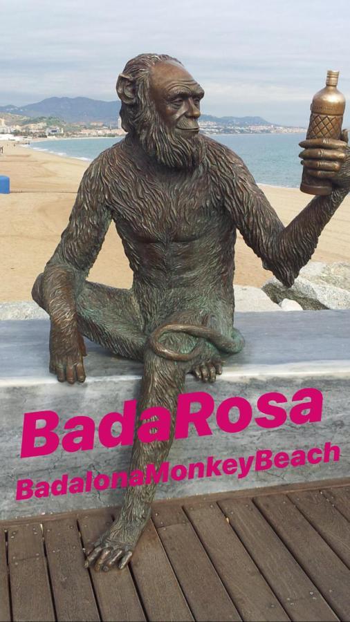 Badarosa 2 House10Min To Barceloncity&Nearto Beach 바달로나 외부 사진